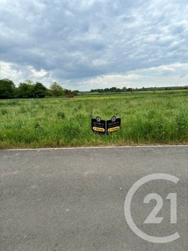 terrain - ALAINCOURT - 02