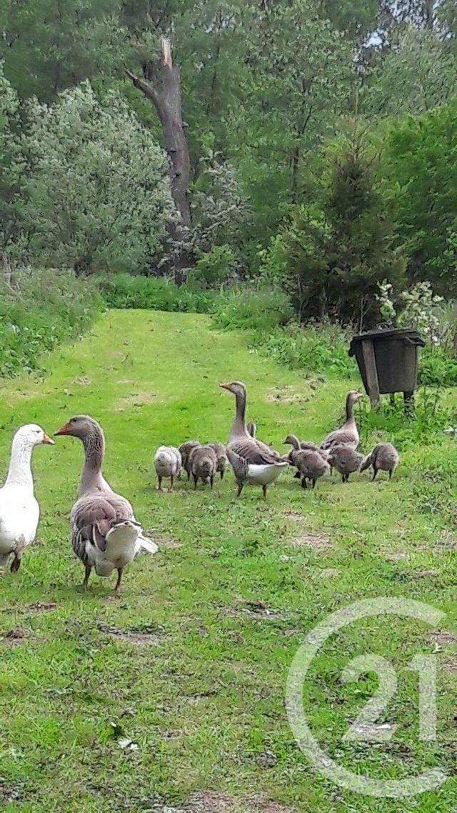 Terrain &agrave; vendre - 16361 m2 - Neuville Sous Montreuil - 62 - NORD-PAS-DE-CALAIS