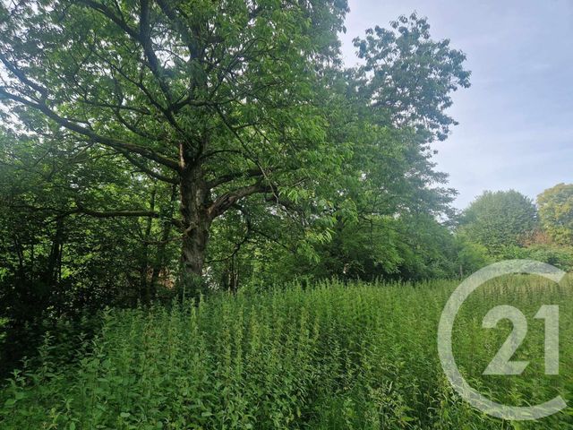 Terrain &agrave; vendre - 3734 m2 - Cormont - 62 - NORD-PAS-DE-CALAIS