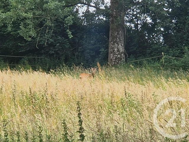 Terrain &agrave; vendre - 3734 m2 - Cormont - 62 - NORD-PAS-DE-CALAIS