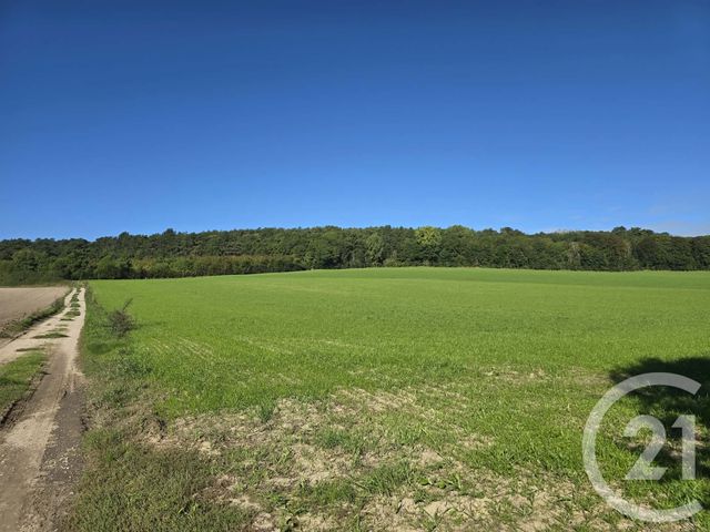 Maison &agrave; vendre - 4 pi&egrave;ces - 69,30 m2 - Neufchatel Hardelot - 62 - NORD-PAS-DE-CALAIS