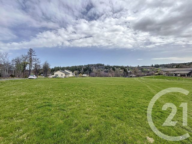 Terrain &agrave; vendre - 1000 m2 - St Jeures - 43 - AUVERGNE
