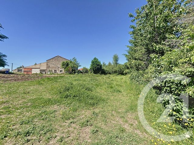Terrain &agrave; vendre - 1054 m2 - Ste Sigolene - 43 - AUVERGNE