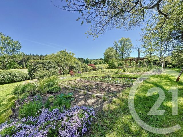 Maison à vendre - 9 pièces - 175 m2 - Montregard - 43 - AUVERGNE