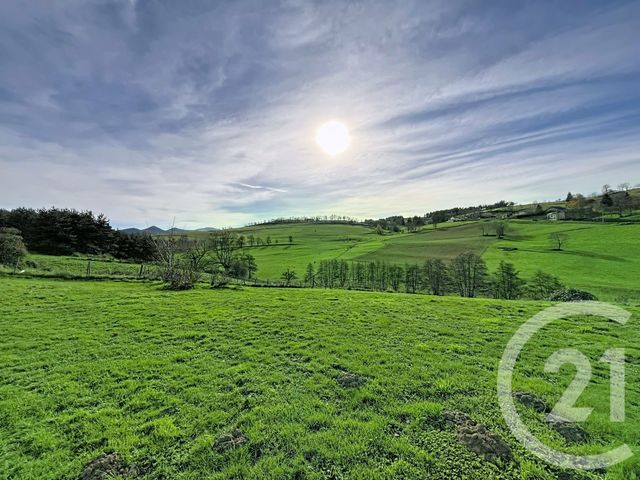 Maison à vendre - 10 pièces - 296,06 m2 - Yssingeaux - 43 - AUVERGNE