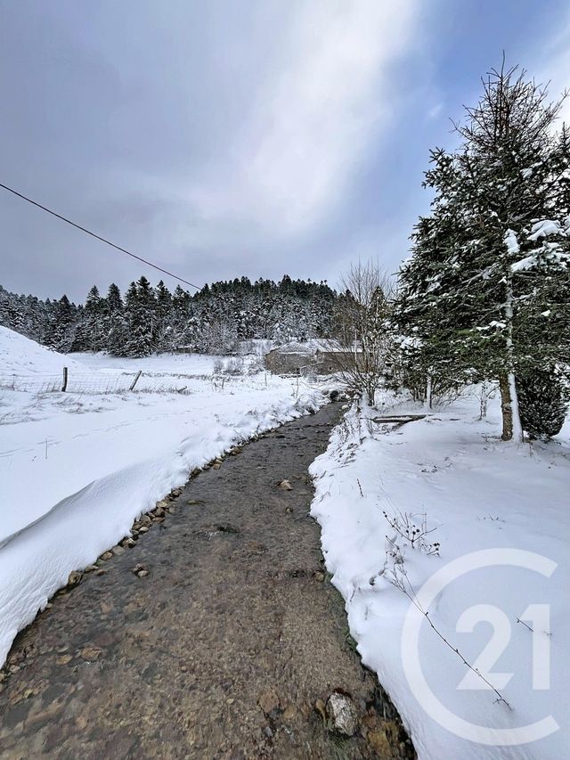 Maison à vendre - 4 pièces - 178 m2 - Montregard - 43 - AUVERGNE