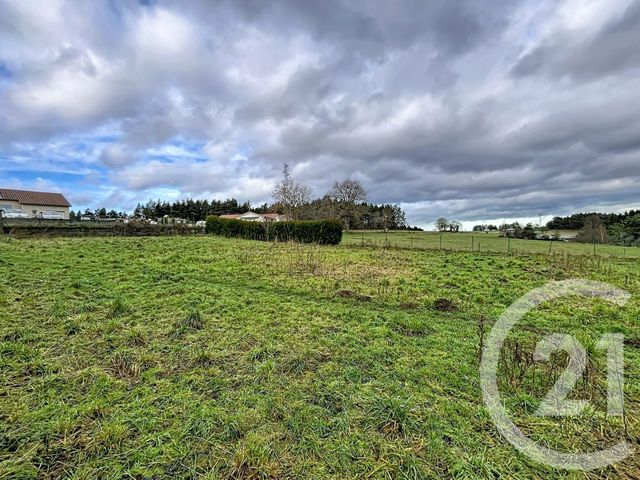 Terrain &agrave; vendre - 1480 m2 - Grazac - 43 - AUVERGNE