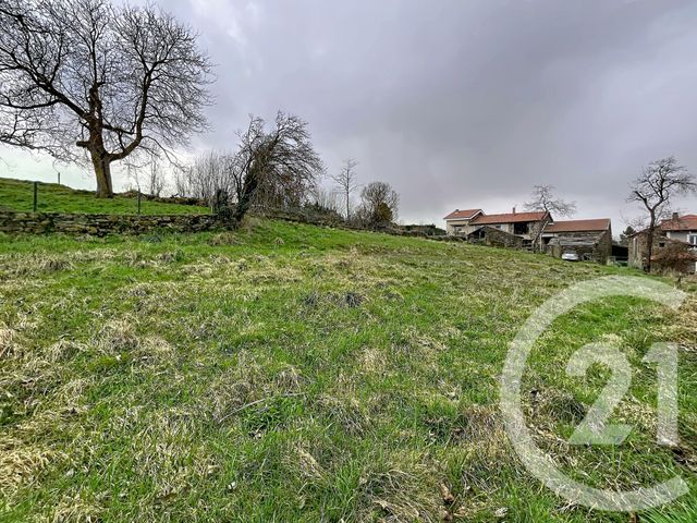 terrain - ST MAURICE DE LIGNON - 43