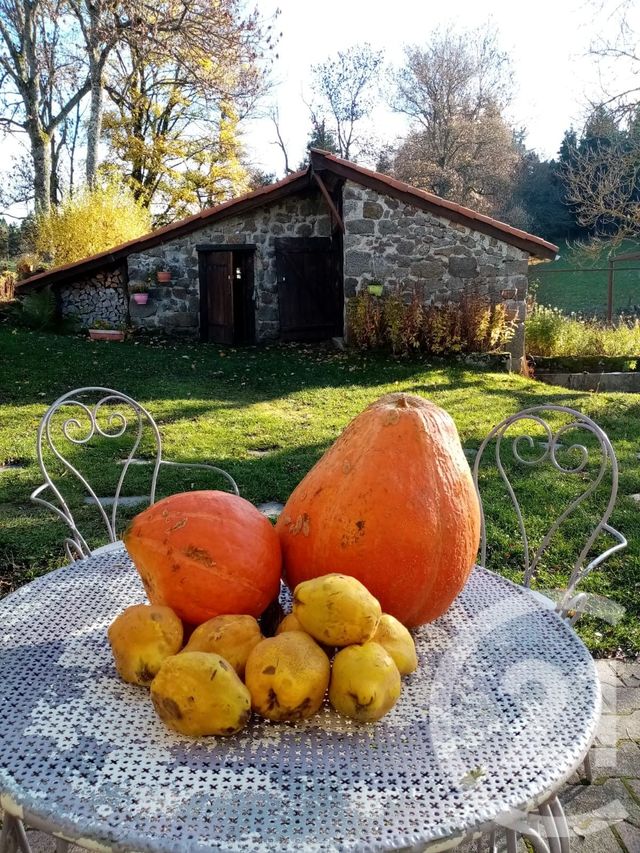 Maison &agrave; vendre - 10 pi&egrave;ces - 331 m2 - Montregard - 43 - AUVERGNE