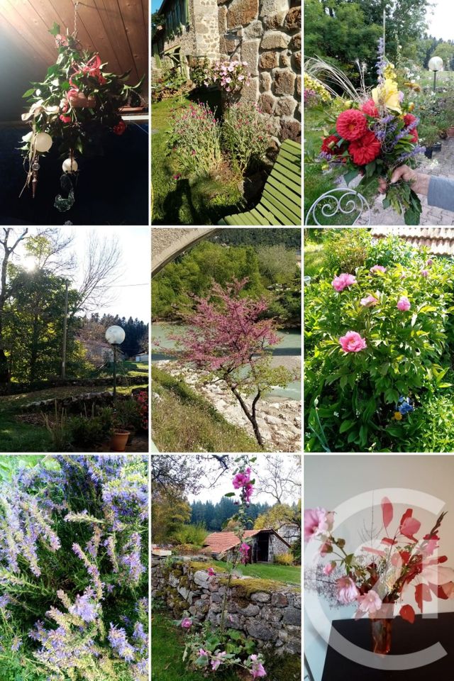 Maison &agrave; vendre - 10 pi&egrave;ces - 331 m2 - Montregard - 43 - AUVERGNE