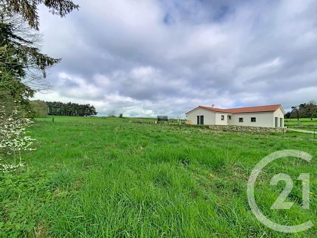 terrain - RAUCOULES - 43