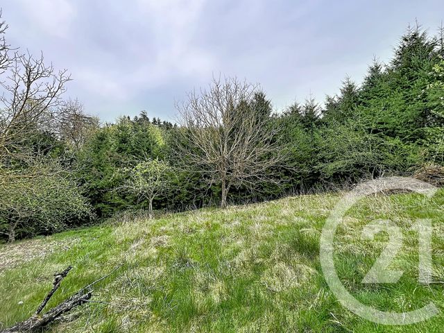 Terrain &agrave; vendre - 1158 m2 - Monistrol Sur Loire - 43 - AUVERGNE