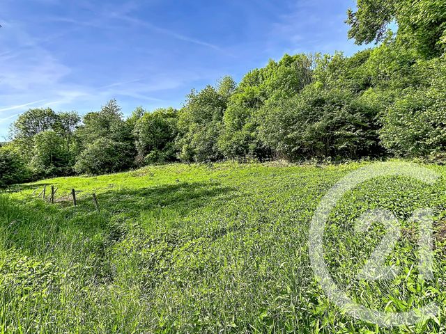 Terrain &agrave; vendre - 31130 m2 - Retournac - 43 - AUVERGNE