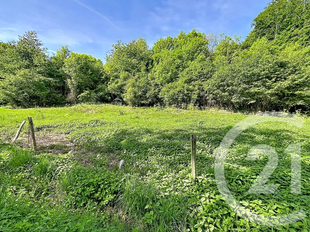 Terrain &agrave; vendre - 31130 m2 - Retournac - 43 - AUVERGNE