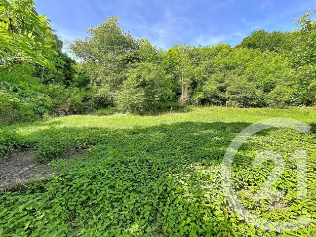 Terrain &agrave; vendre - 31130 m2 - Retournac - 43 - AUVERGNE