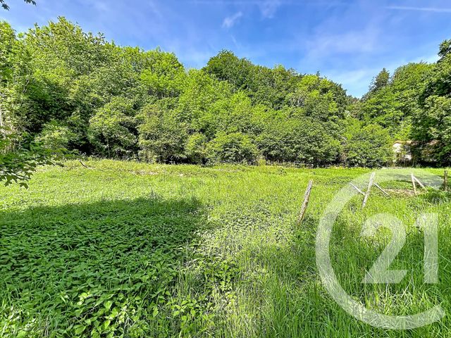 Terrain &agrave; vendre - 31130 m2 - Retournac - 43 - AUVERGNE