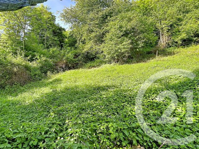 Terrain &agrave; vendre - 31130 m2 - Retournac - 43 - AUVERGNE