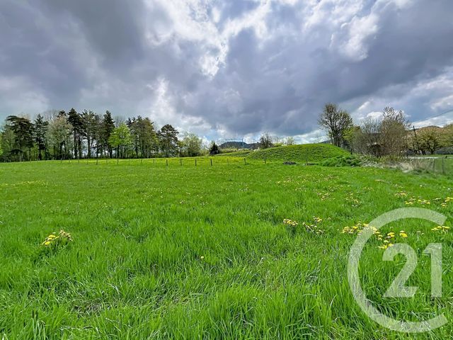 Terrain &agrave; vendre - 1400 m2 - St Julien Du Pinet - 43 - AUVERGNE