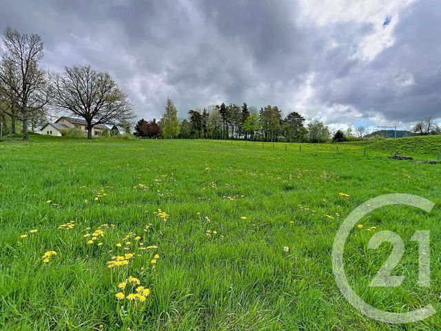 Terrain &agrave; vendre - 1400 m2 - St Julien Du Pinet - 43 - AUVERGNE