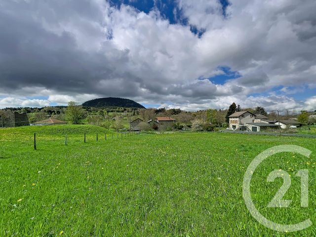 terrain - ST JULIEN DU PINET - 43
