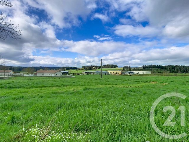 Terrain &agrave; vendre - 1093 m2 - Raucoules - 43 - AUVERGNE