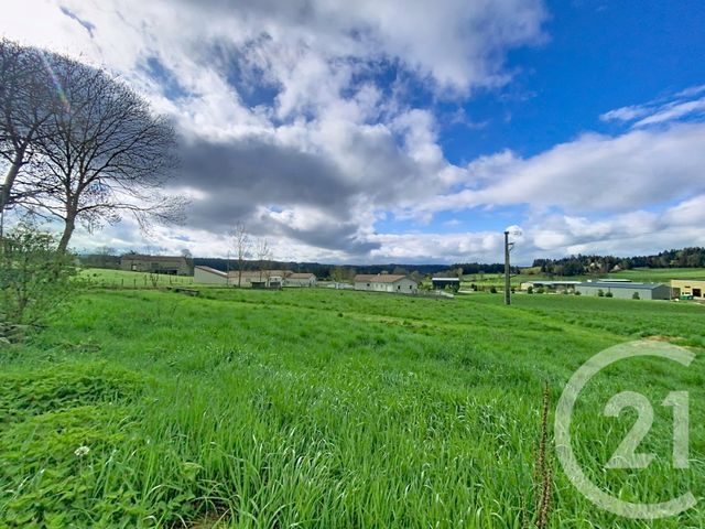 Terrain &agrave; vendre - 1093 m2 - Raucoules - 43 - AUVERGNE