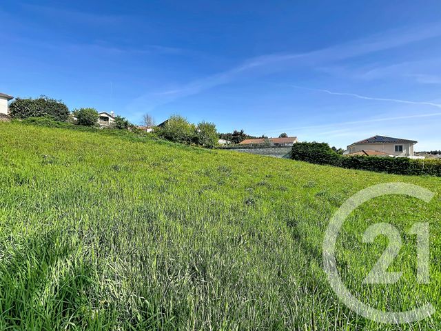 Terrain &agrave; vendre - 2745 m2 - Ste Sigolene - 43 - AUVERGNE