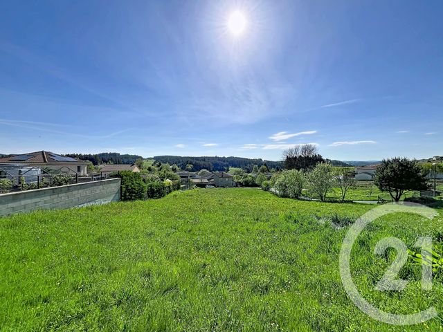 Terrain &agrave; vendre - 2745 m2 - Ste Sigolene - 43 - AUVERGNE