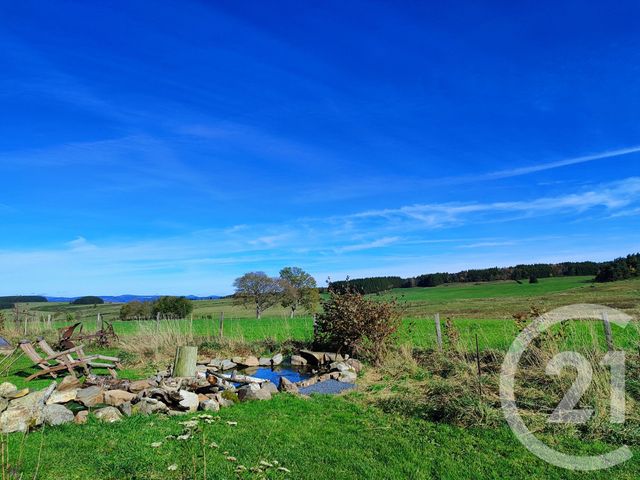 Maison &agrave; vendre - 8 pi&egrave;ces - 375 m2 - Fay Sur Lignon - 43 - AUVERGNE