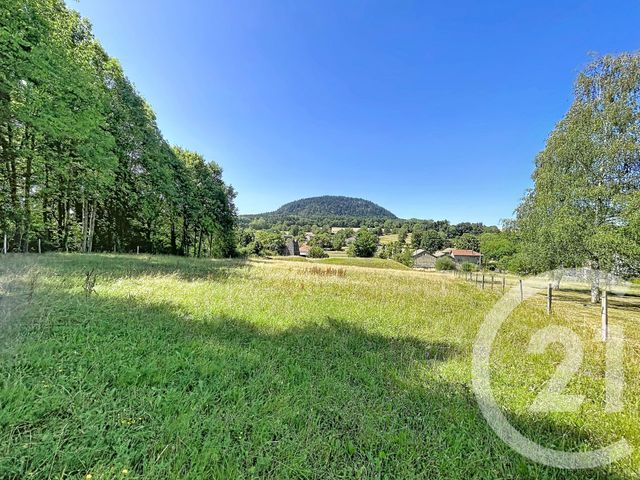 Terrain &agrave; vendre - 1500 m2 - St Julien Du Pinet - 43 - AUVERGNE