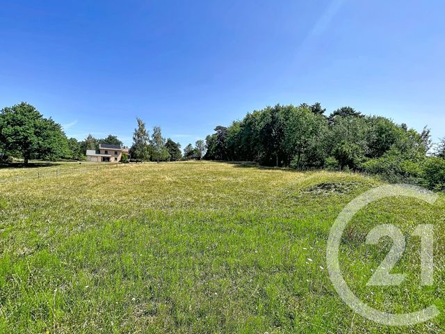 Terrain &agrave; vendre - 3000 m2 - St Julien Du Pinet - 43 - AUVERGNE