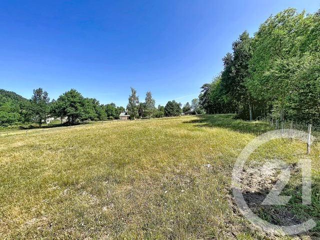 Terrain &agrave; vendre - 3000 m2 - St Julien Du Pinet - 43 - AUVERGNE