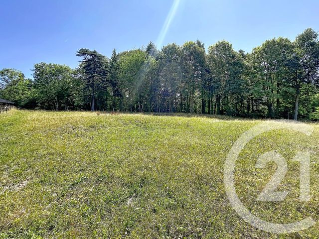 Terrain &agrave; vendre - 3000 m2 - St Julien Du Pinet - 43 - AUVERGNE