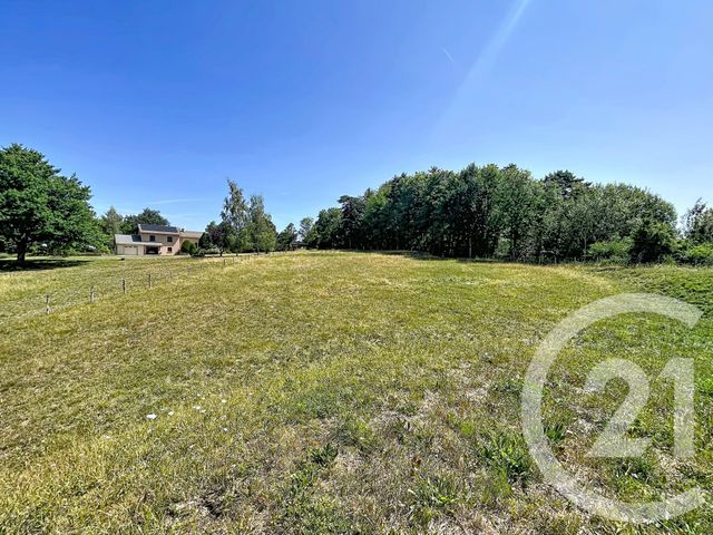 Terrain &agrave; vendre - 3000 m2 - St Julien Du Pinet - 43 - AUVERGNE
