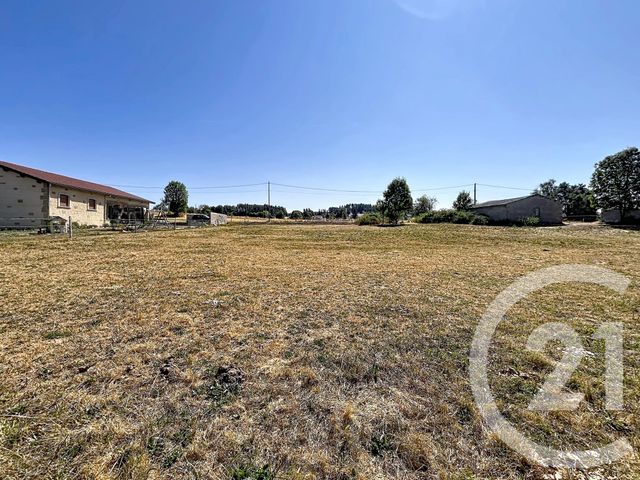 Terrain &agrave; vendre - 1243 m2 - Grazac - 43 - AUVERGNE