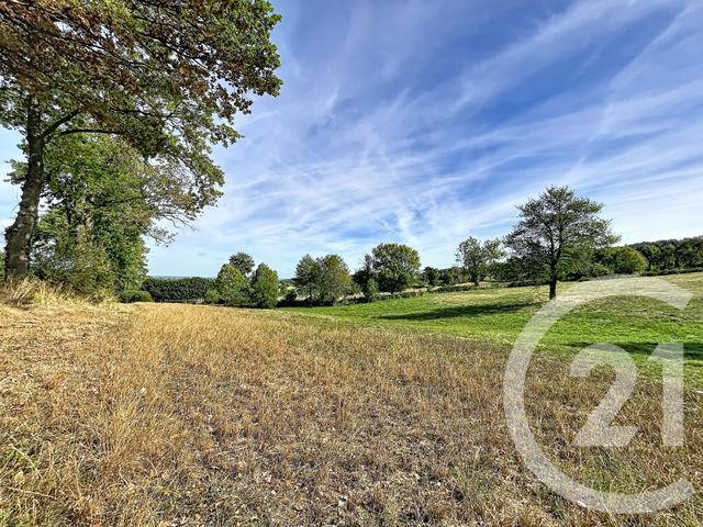 Terrain &agrave; vendre - 6178 m2 - Beaux - 43 - AUVERGNE