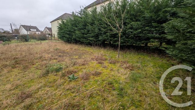 Maison &agrave; louer - 5 pi&egrave;ces - 99,39 m2 - Beauce La Romaine - 41 - CENTRE