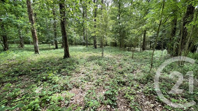 Maison &agrave; vendre - 5 pi&egrave;ces - 195,87 m2 - St Maur Sur Le Loir - 28 - CENTRE