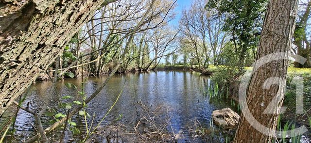 Maison &agrave; vendre - 6 pi&egrave;ces - 162,33 m2 - Luplante - 28 - CENTRE