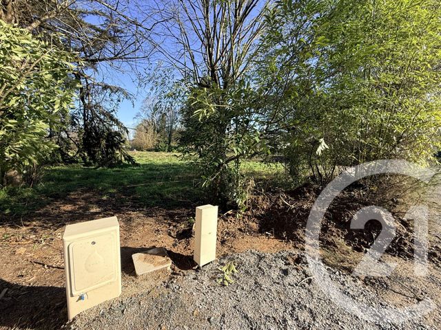 terrain - TREILLIERES - 44