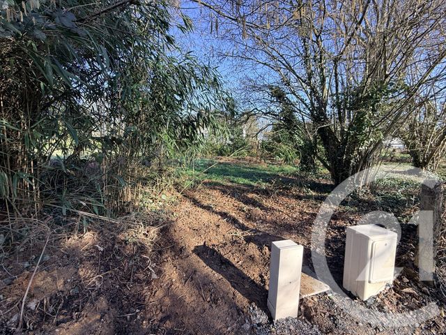 terrain - TREILLIERES - 44