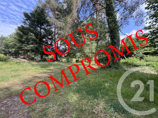 terrain - TREILLIERES - 44