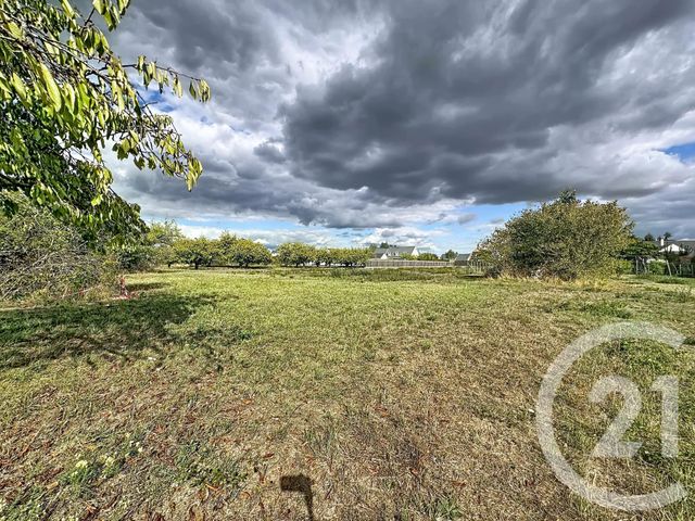 Terrain &agrave; vendre - 2613 m2 - Olivet - 45 - CENTRE