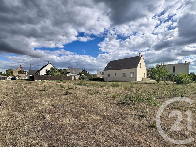 Terrain &agrave; vendre - 2613 m2 - Olivet - 45 - CENTRE