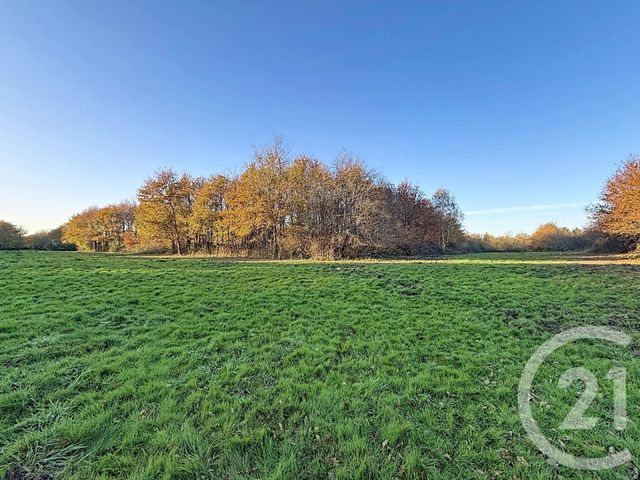 Maison à vendre - 6 pièces - 209,04 m2 - Olivet - 45 - CENTRE