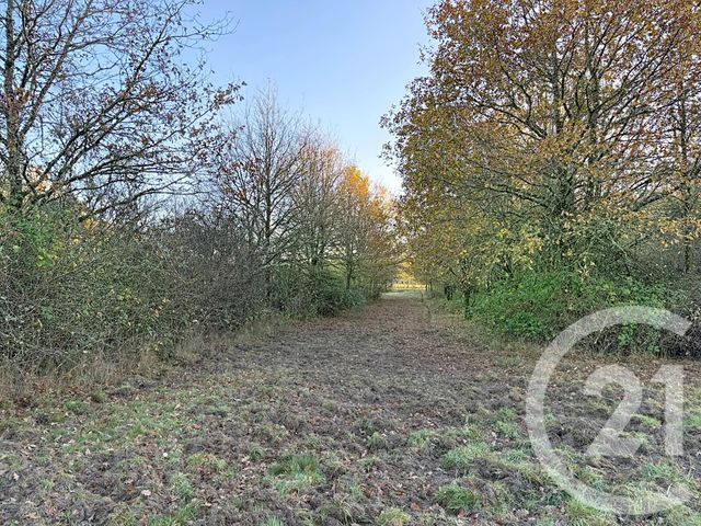 Maison &agrave; vendre - 6 pi&egrave;ces - 209,04 m2 - La Ferte St Aubin - 45 - CENTRE