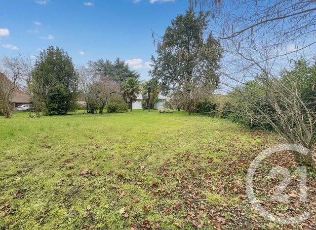 Maison &agrave; vendre - 7 pi&egrave;ces - 154 m2 - Olivet - 45 - CENTRE