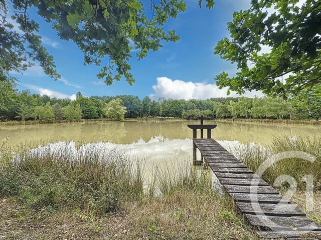 Maison &agrave; vendre - 7 pi&egrave;ces - 240 m2 - Ardon - 45 - CENTRE