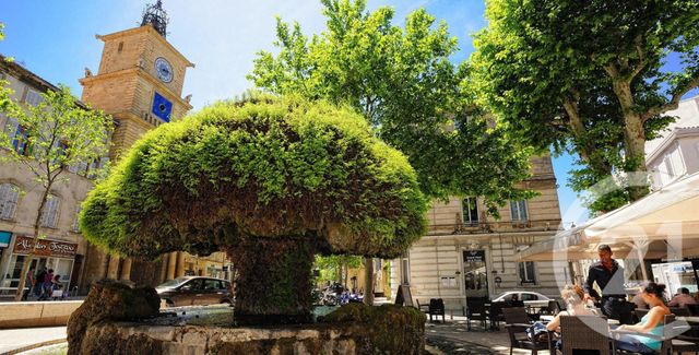 Divers &agrave; vendre - 60 m2 - Salon De Provence - 13 - PROVENCE-ALPES-COTE-D-AZUR