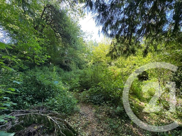 Maison &agrave; vendre - 3 pi&egrave;ces - 74,29 m2 - Corancy - 58 - BOURGOGNE